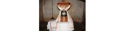 முழையூர்